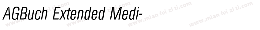 AGBuch Extended Medi字体转换